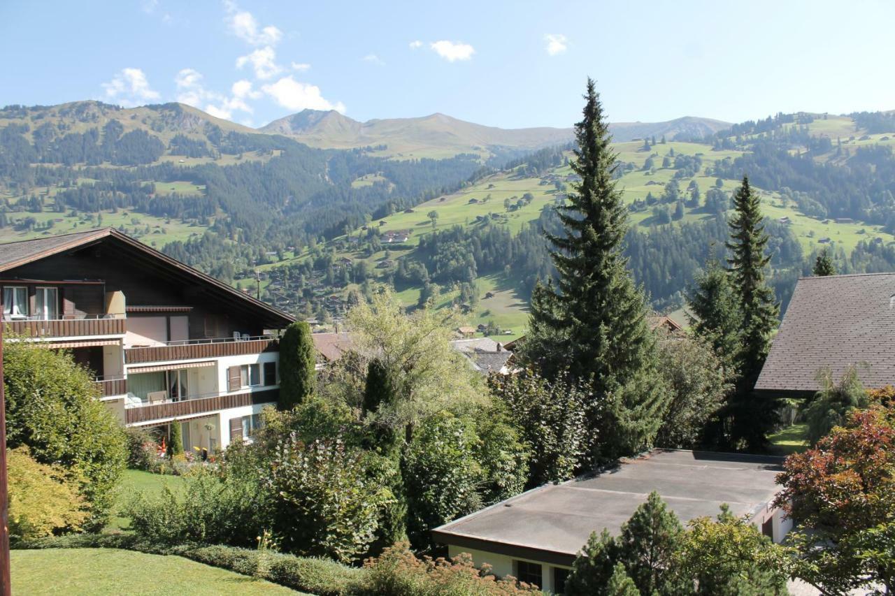 Ferienwohnung Birg Lenk im Simmental Exterior foto